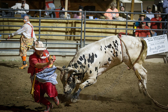 Tomah Rodeo 2015-147