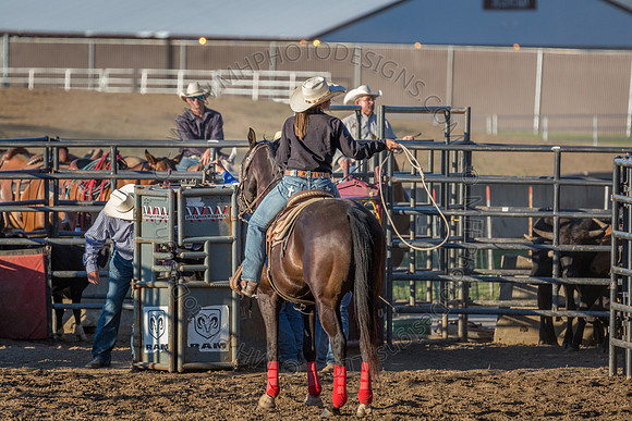 Tomah Rodeo 2015-050