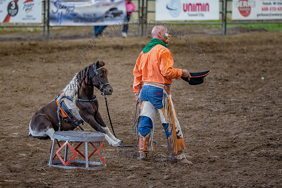 Tomah Rodeo 2015-122