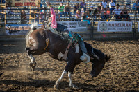 Tomah Rodeo 2015-013