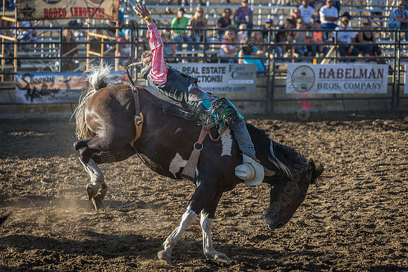 Tomah Rodeo 2015-013