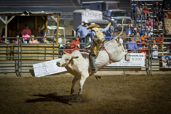 Tomah Rodeo 2015-141