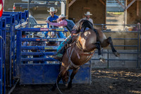 Tomah Rodeo 2015-019