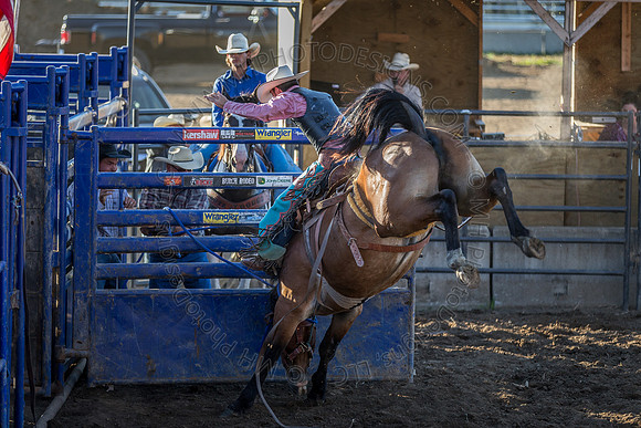 Tomah Rodeo 2015-019