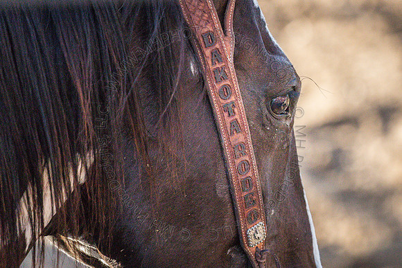 Tomah Rodeo 2015-017
