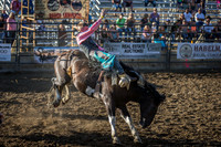 Tomah Rodeo 2015-012
