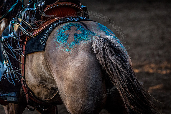 Tomah Rodeo 2015-108