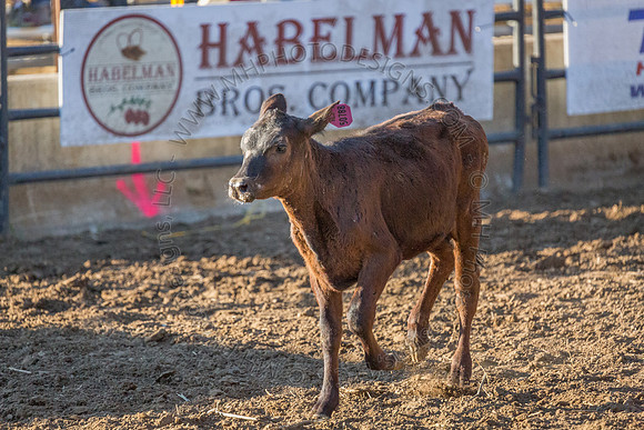 Tomah Rodeo 2015-023