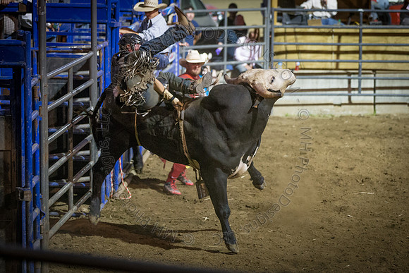 Tomah Rodeo 2015-146