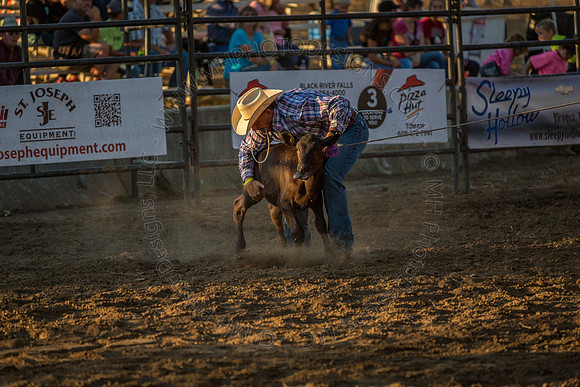 Tomah Rodeo 2015-093