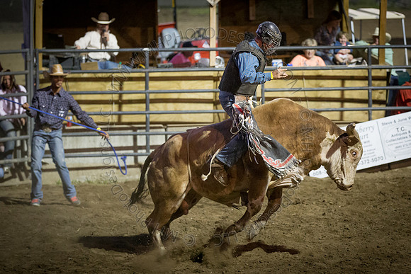 Tomah Rodeo 2015-138