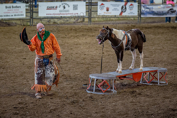Tomah Rodeo 2015-121