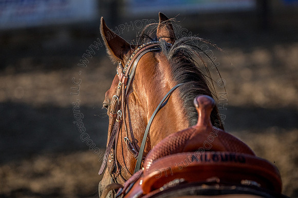 Tomah Rodeo 2015-068