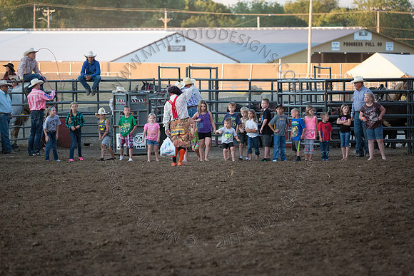 Tomah Rodeo 2015-113
