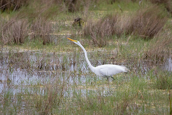 Florida Getaway 2015-024