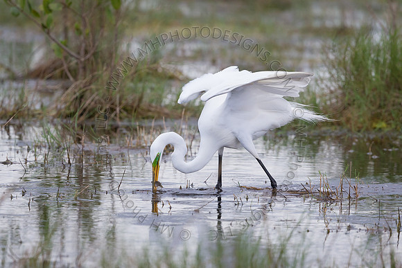 Florida Getaway 2015-035
