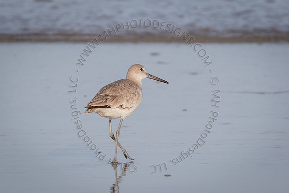 Florida Getaway 2015-003