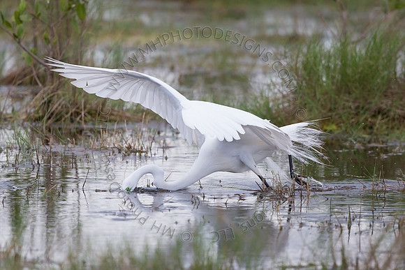 Florida Getaway 2015-034