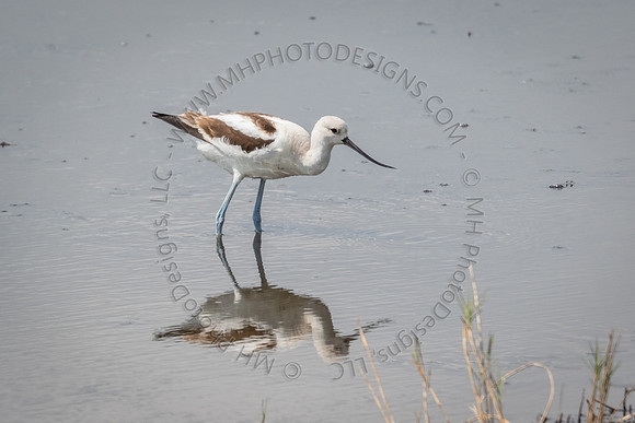 Florida Getaway 2015-014