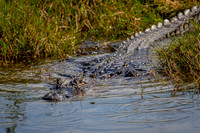 Florida Getaway 2015-012
