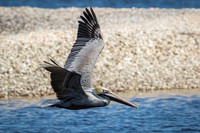 Florida Getaway 2015-004