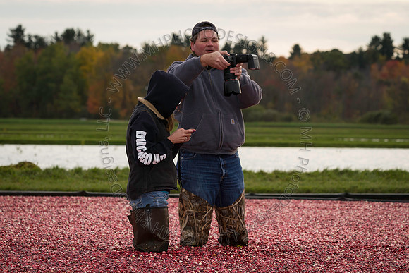 Saratoga Cranberry Harvest 2013-176