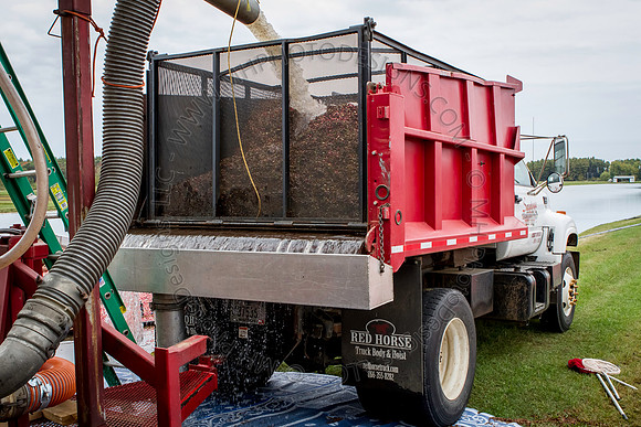 Saratoga Cranberry Harvest 2013-037