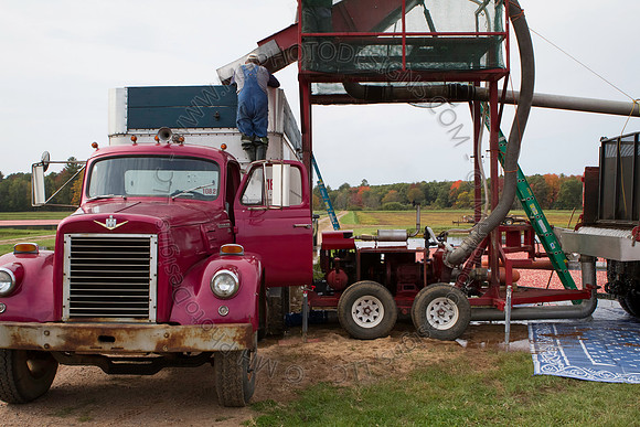 Saratoga Cranberry Harvest 2013-024