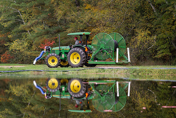 Saratoga Cranberry Harvest 2013-054