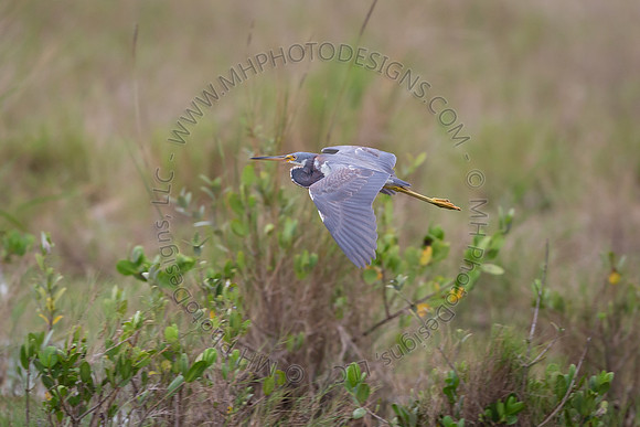 Florida Getaway 2015-026