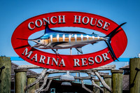 Florida Getaway 2015-011