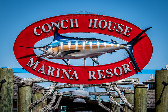 Florida Getaway 2015-011