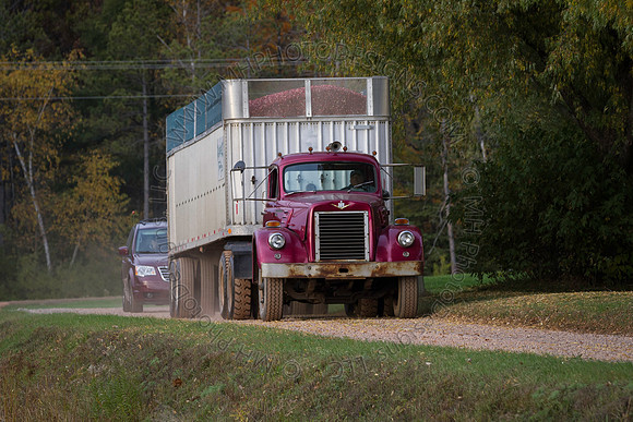Saratoga Cranberry Harvest 2013-194