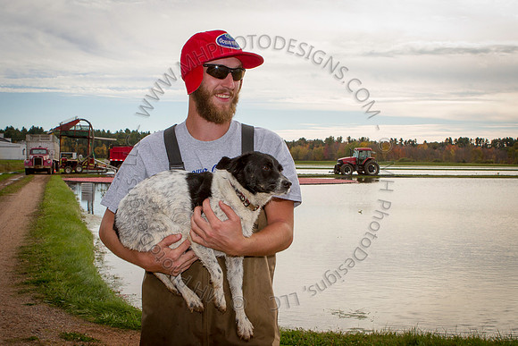 Saratoga Cranberry Harvest 2013-162
