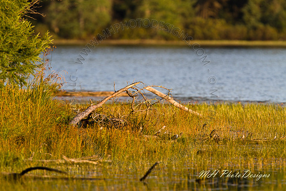 September Projects 2010-014
