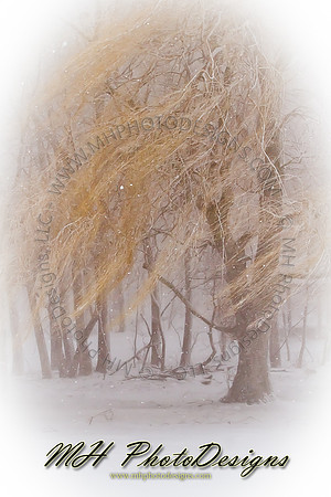 December Projects 2010-019