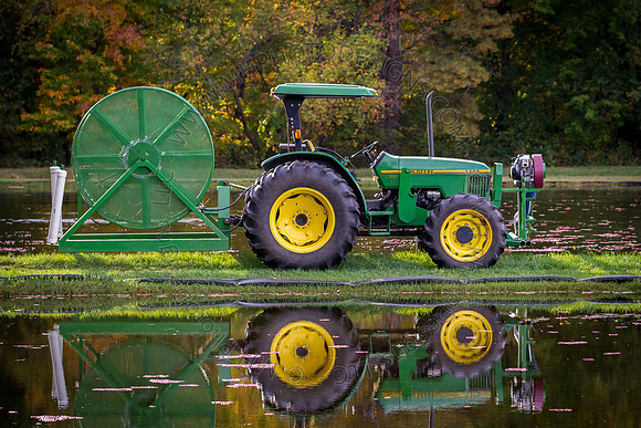Saratoga Cranberry Harvest 2013-082