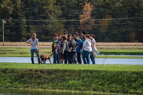 Saratoga Cranberry Harvest 2013-135