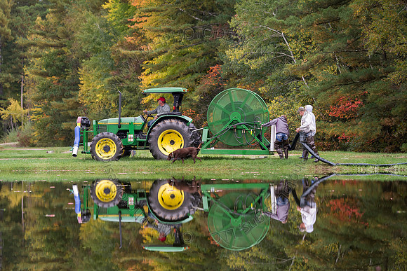 Saratoga Cranberry Harvest 2013-053