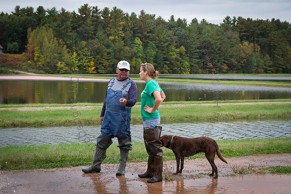 Saratoga Cranberry Harvest 2013-048