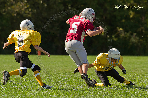 September Projects 2010-056