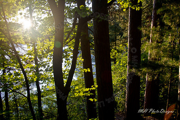 September Projects 2010-037