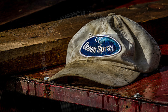 Saratoga Cranberry Harvest 2013-149