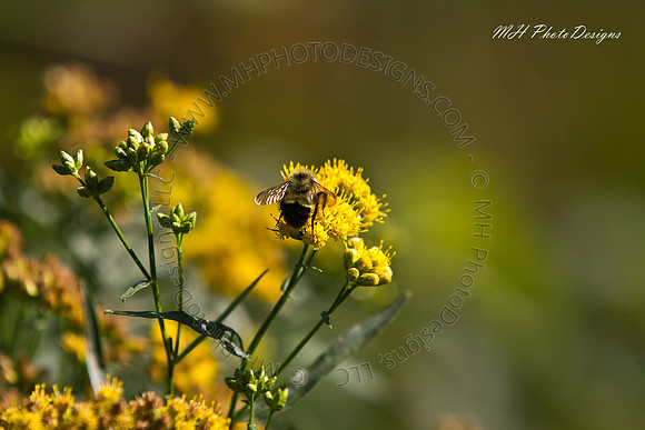 September Projects 2010-032