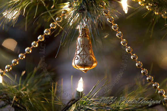 December Projects 2010-018