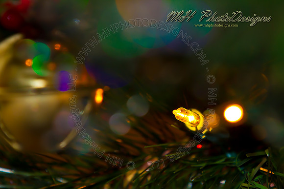 December Projects 2010-013