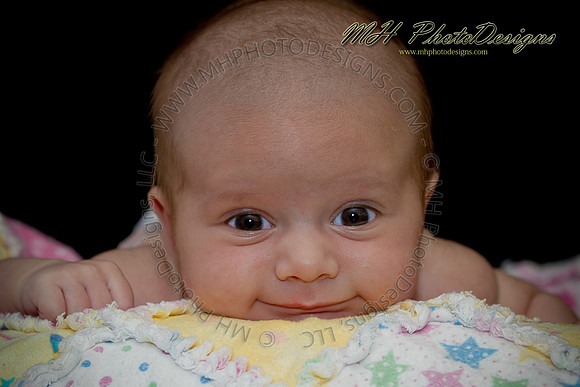 September Projects 2010-061