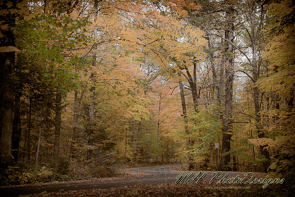 December Projects 2010-004