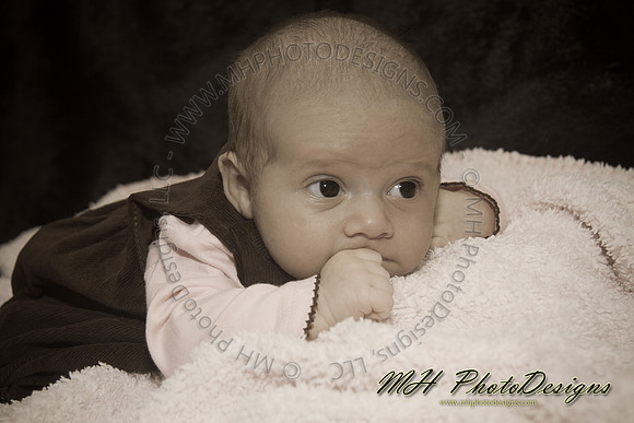 September Projects 2010-062