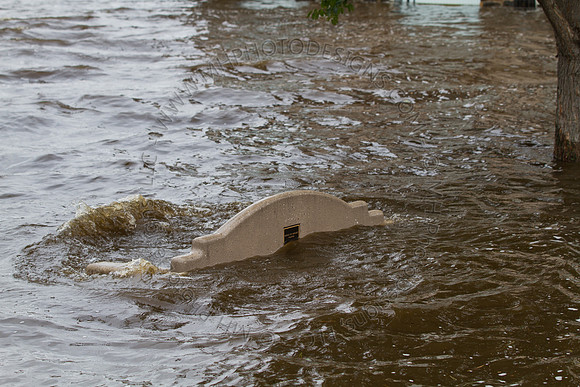 September Flood Waters 2010-097
